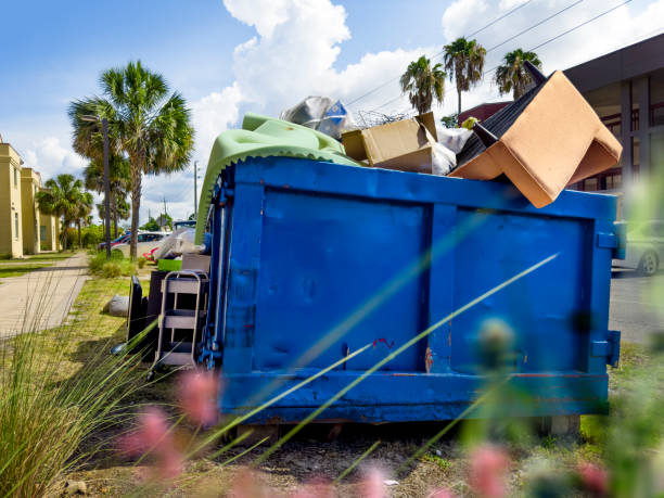 Best Electronics Removal Services  in Cedar Lake, IN